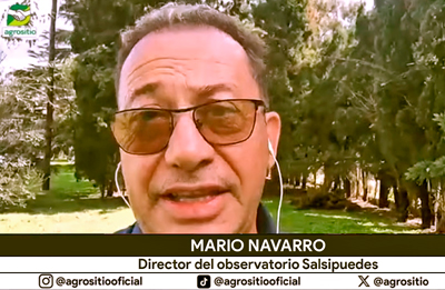 Mario Navarro